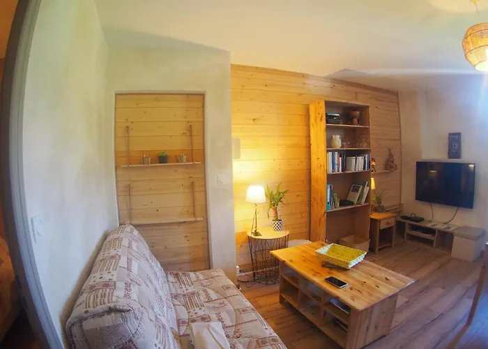 Appartement en bord de lac, accès jardin, cuisine d\'été , accès direct plage,