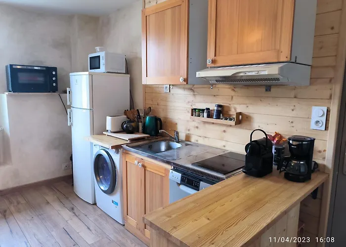 Appartement en bord de lac, accès jardin, cuisine d\'été , accès direct plage,