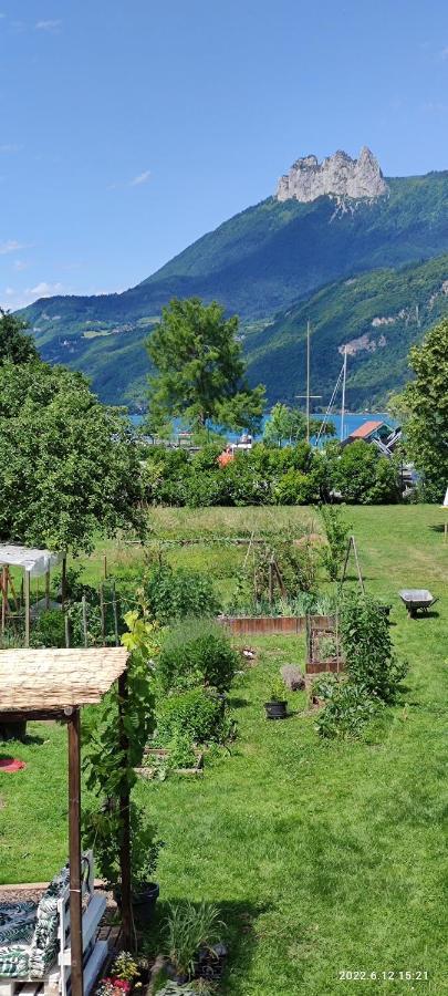 Le Petit Coin Au Bord Du Doussard