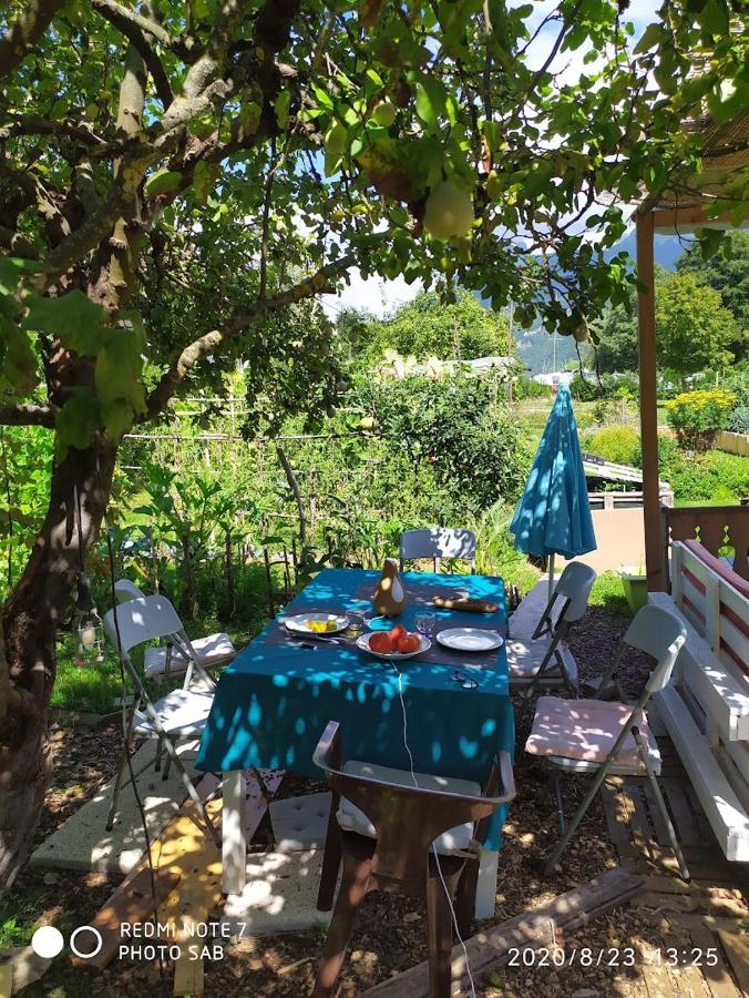 Apartment Le Petit Coin Au Bord Du Doussard